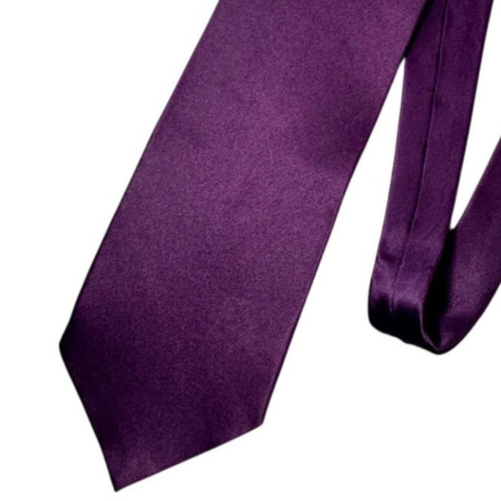 Carlo Palazzi Necktie Purple 100% Silk Solid